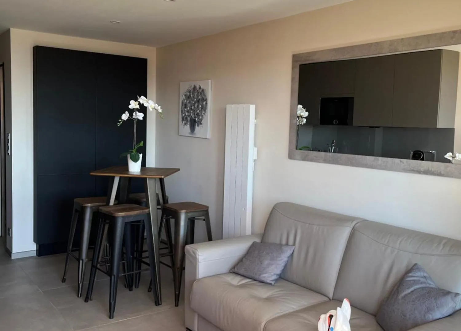 Apartment Appartement Haut De Gamme Vue Mer Classe 3 Etoiles Cannes