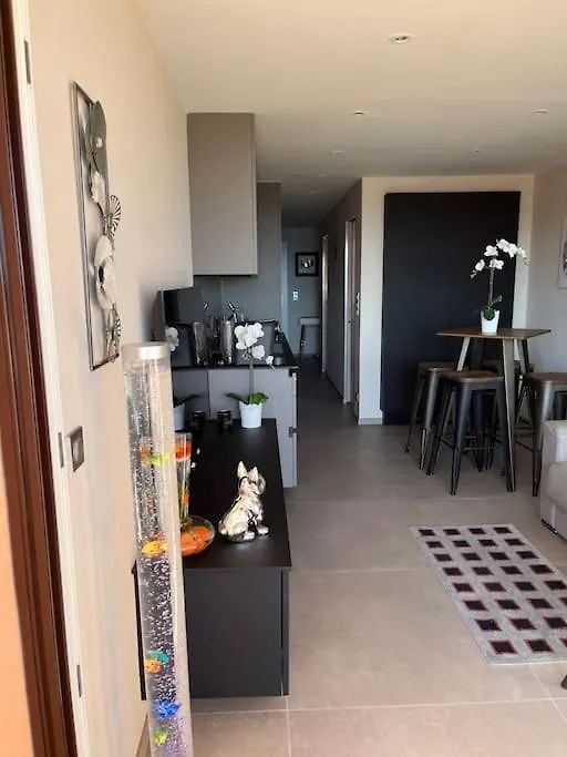 Appartement Haut De Gamme Vue Mer Classe 3 Etoiles Cannes